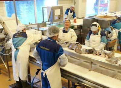 Greenland fish factory