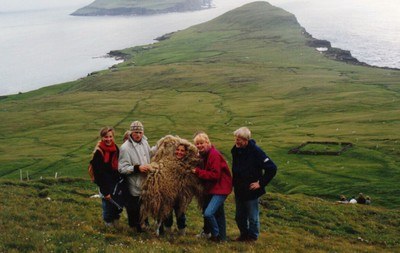 Loa Faroe sheepskin
