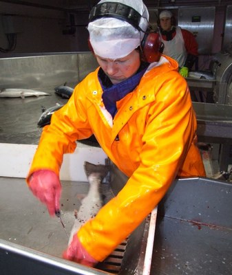 Fisheries in Norway