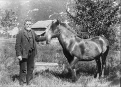 Asbjørn Eide og hest