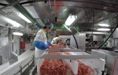 Prawn processing