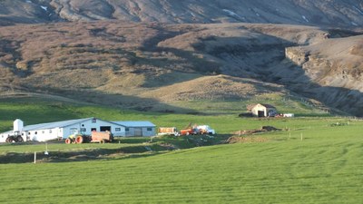 Icelandic farms