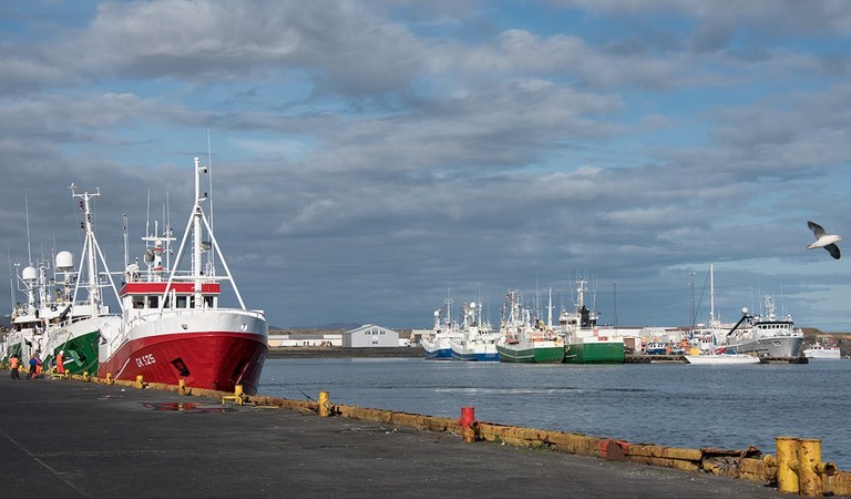 Grindavík harbour