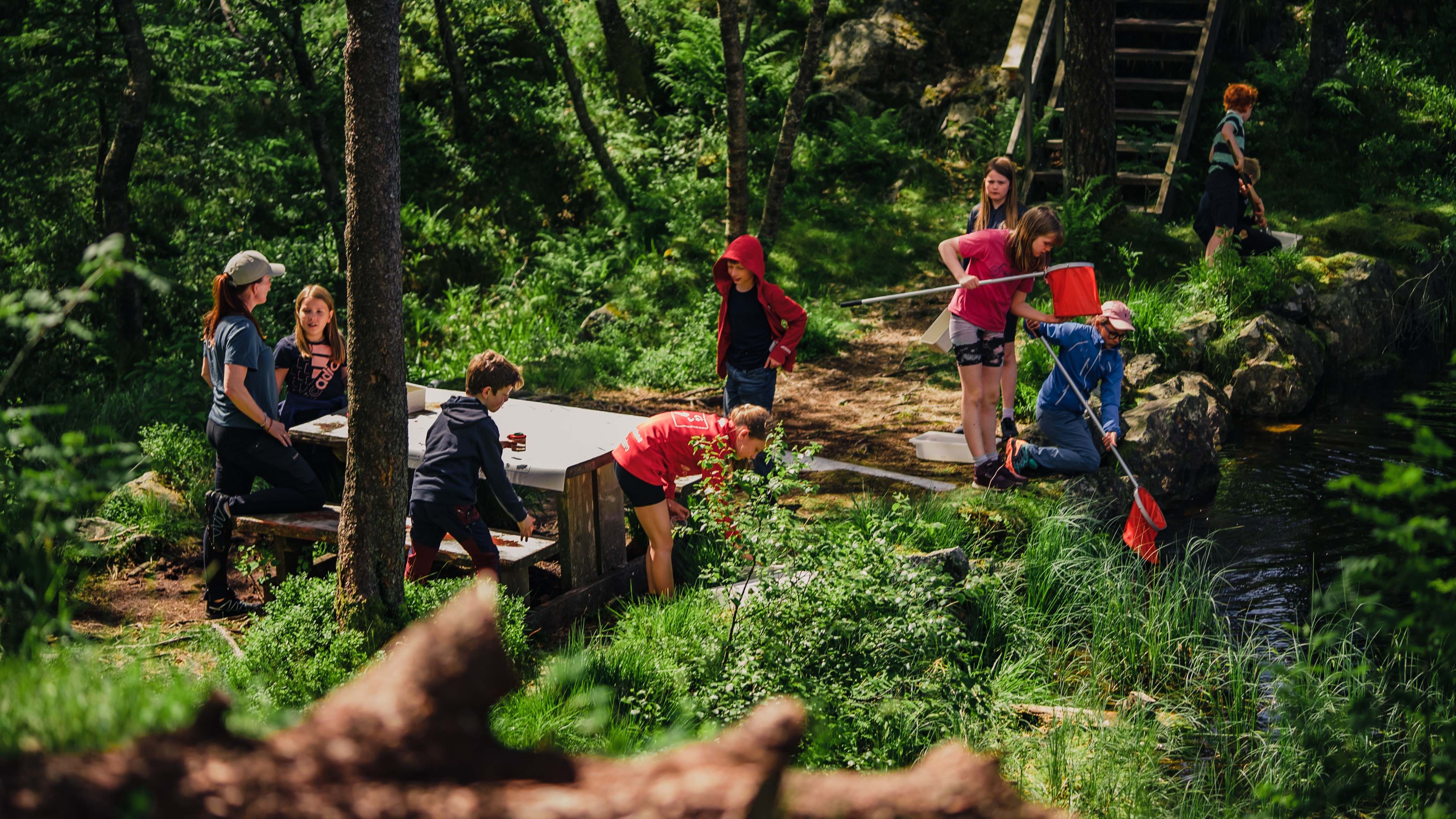 Nature school