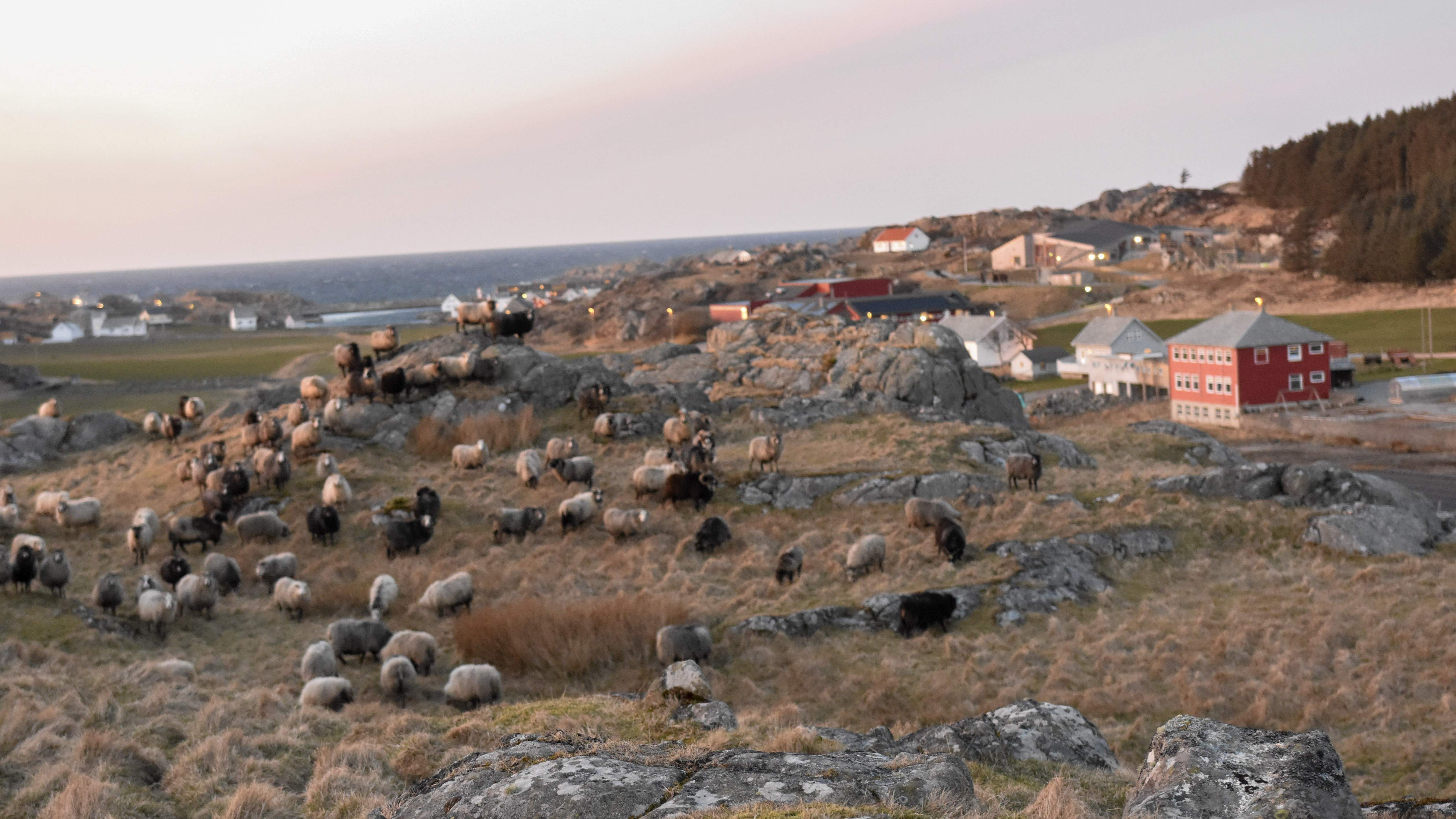 Utsira panorama