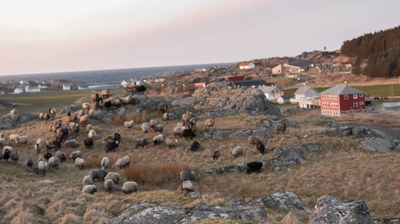 Utsira panorama