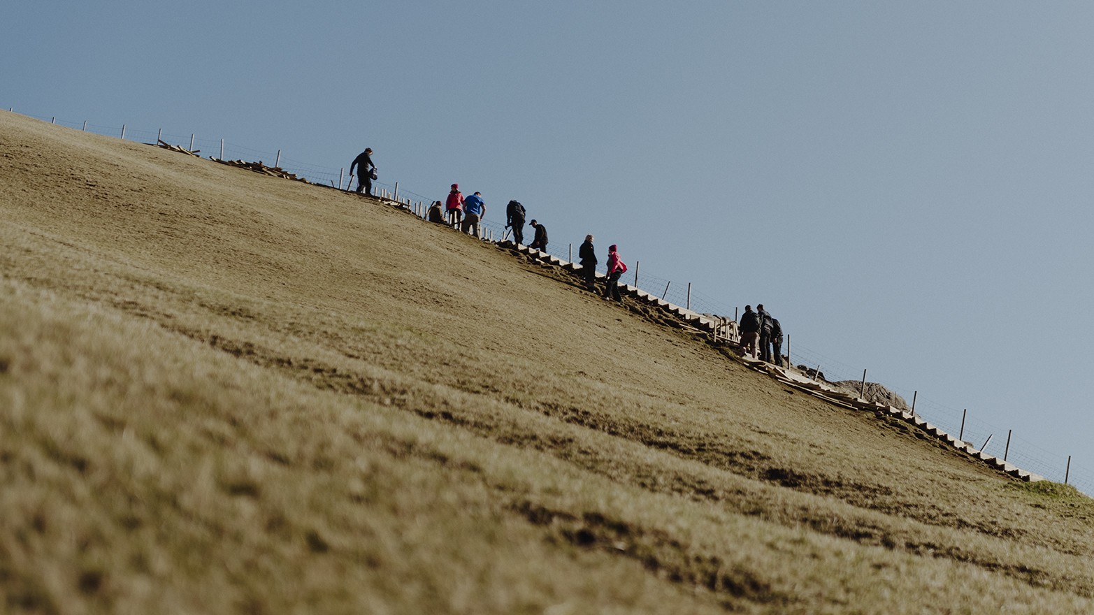 Volunteers stairs