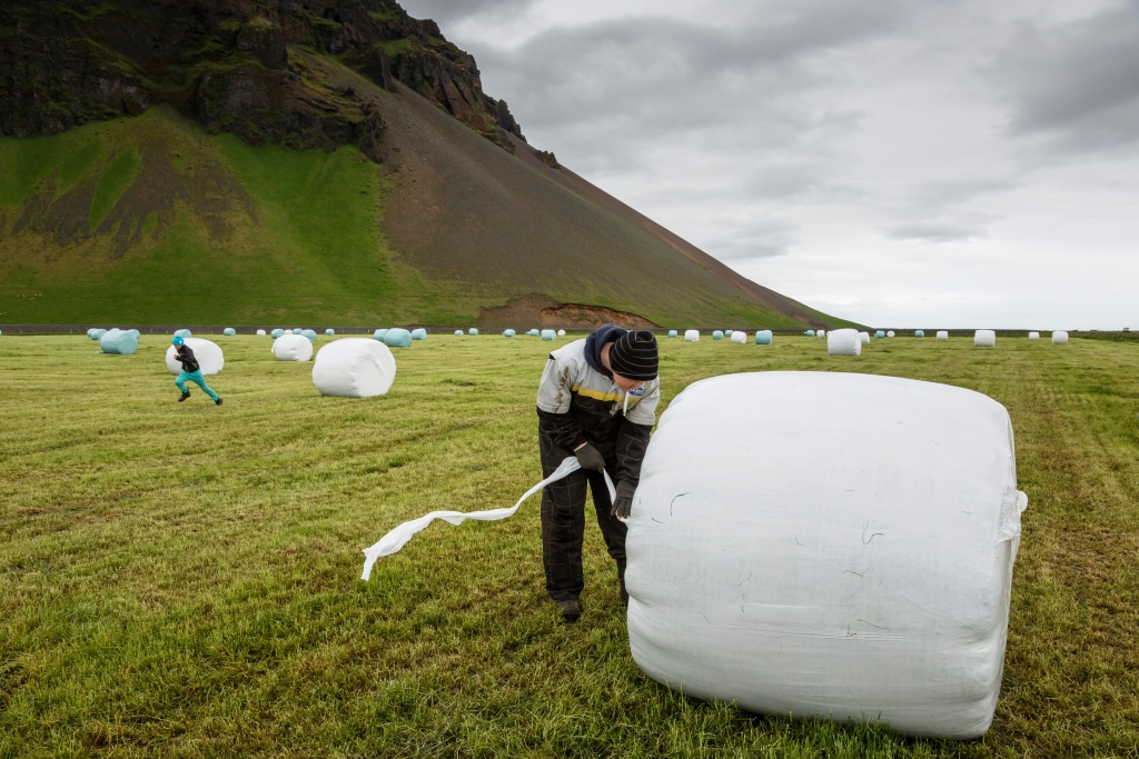 Nordregio: Young Icelanders shy away from traditional occupations