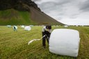 Nordregio: Young Icelanders shy away from traditional occupations
