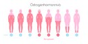 Menopause initiative saves millions in sick leave costs for Swedish municipality 