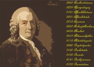 An open EU labour market needs common occupational classifications