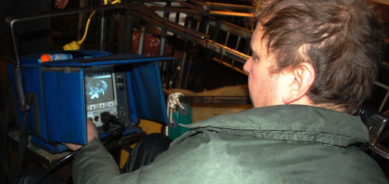 Sheep counter Photo: Windy Kester