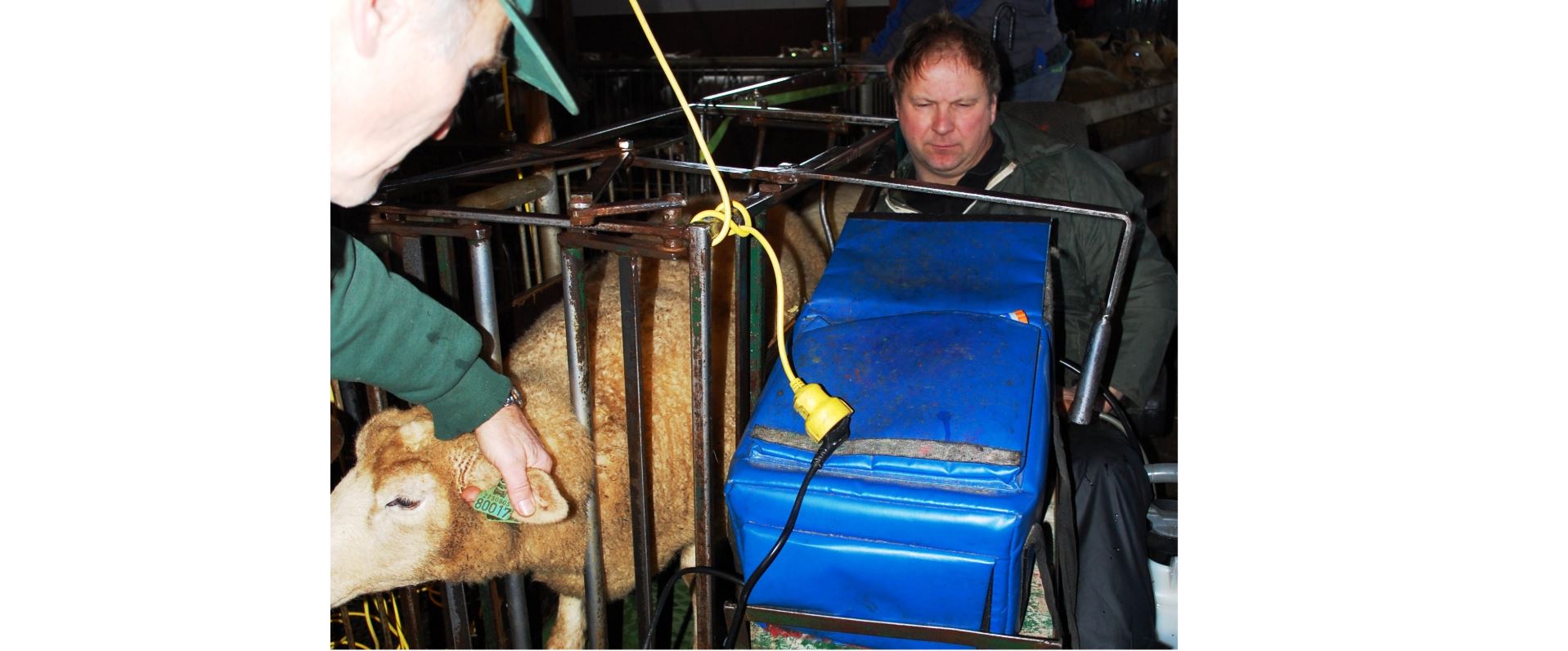 Racing against nature