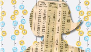 Women’s businesses mirror gender segregated labour market