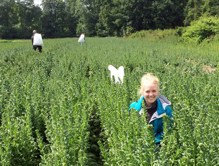 Gerður Gautsdóttir Gerdur