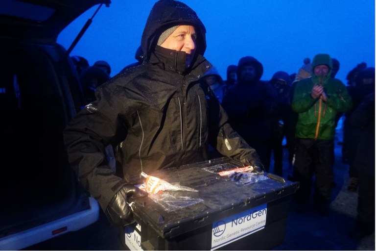 Høybråten in Svalbard Høybråten in Svalbard