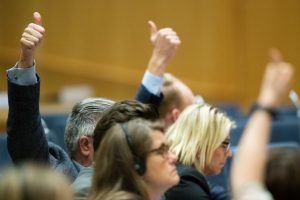 “More hard issues should be discussed at the Nordic Council”