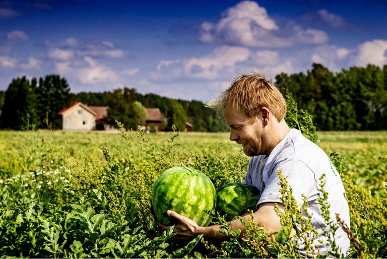 Water melon farmer Water melon farmer
