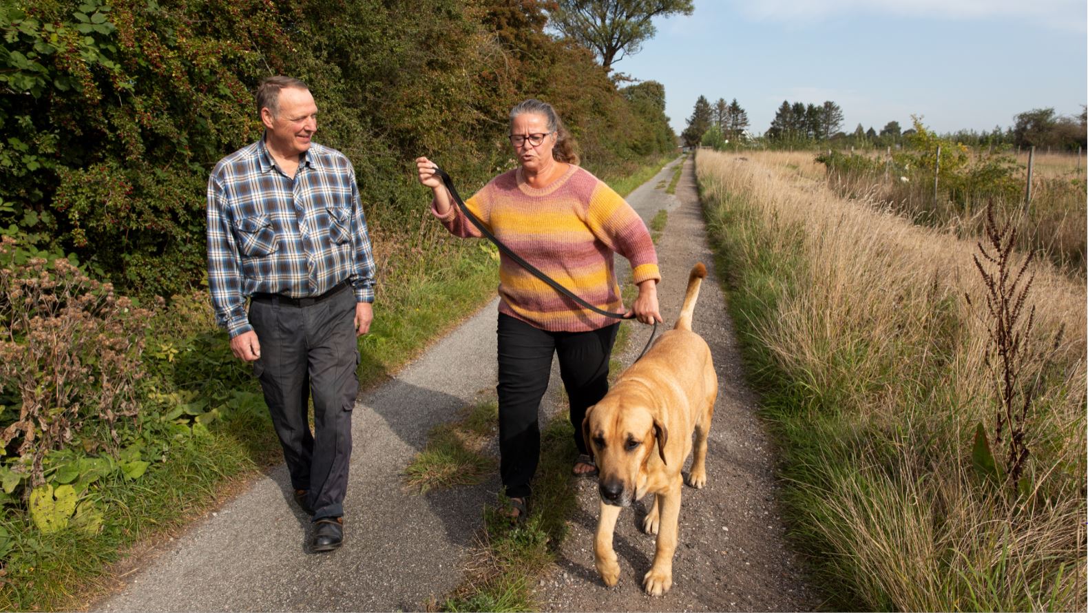 Danish state pension reform aims to help worn-out workers