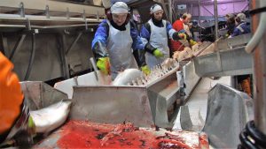 “Important to continue the extension of collective agreements”