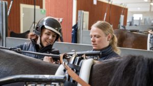 No horsing around with the work environment for the Swedish equine sector