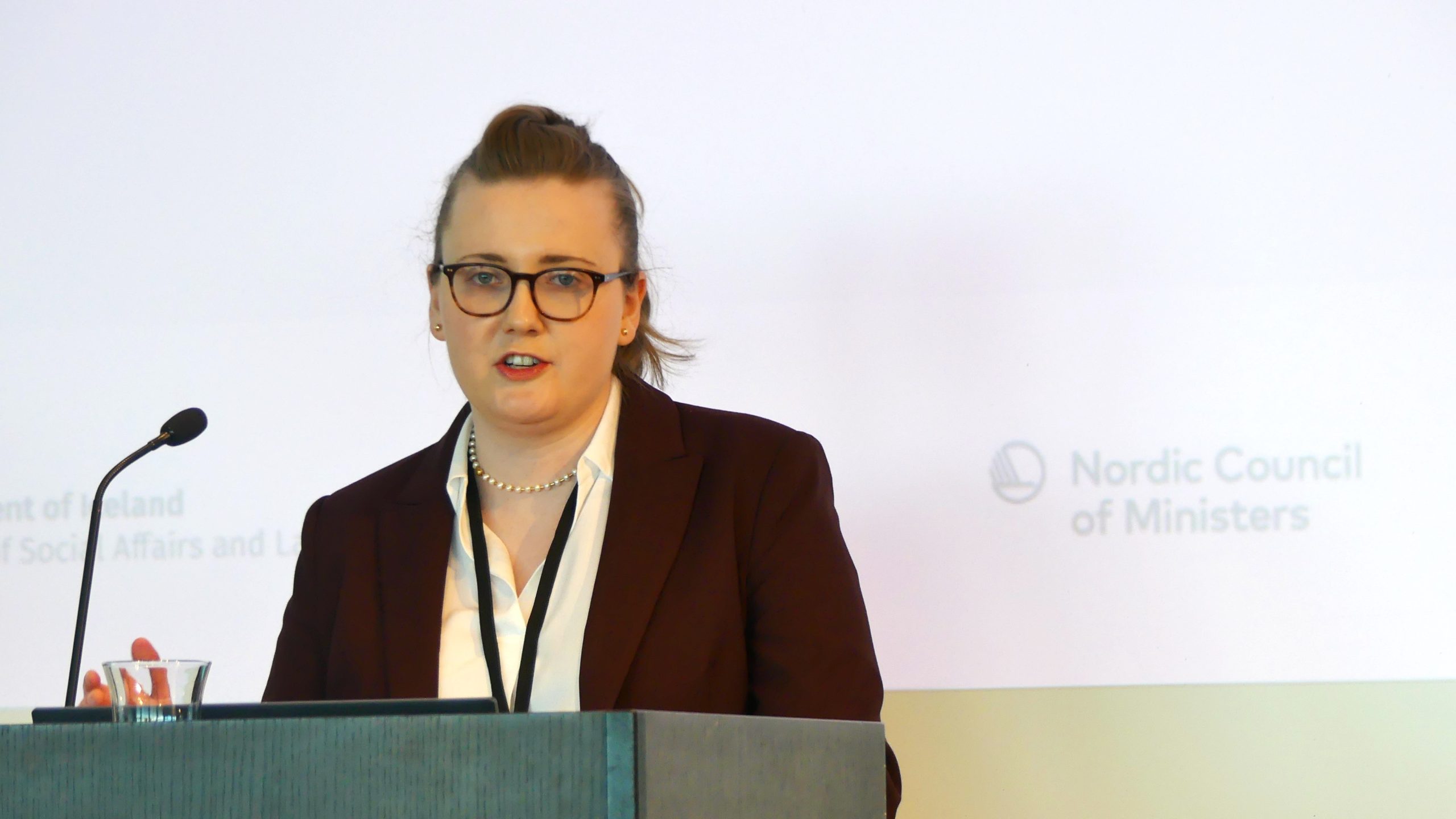 Nordic employment services adopt AI in reform drive