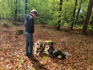 The freelancer making a living from her love of dogs