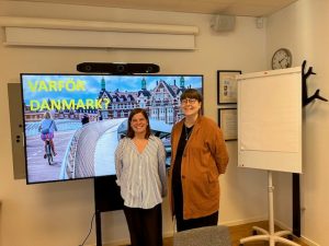 The jobs and training are there – why won’t young Swedes and Danes just cross the bridge?
